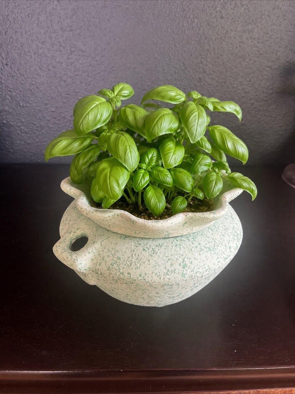 Handmade Herb Planter Pot w/ Water Reservoir Basil Planter Speckled Pottery